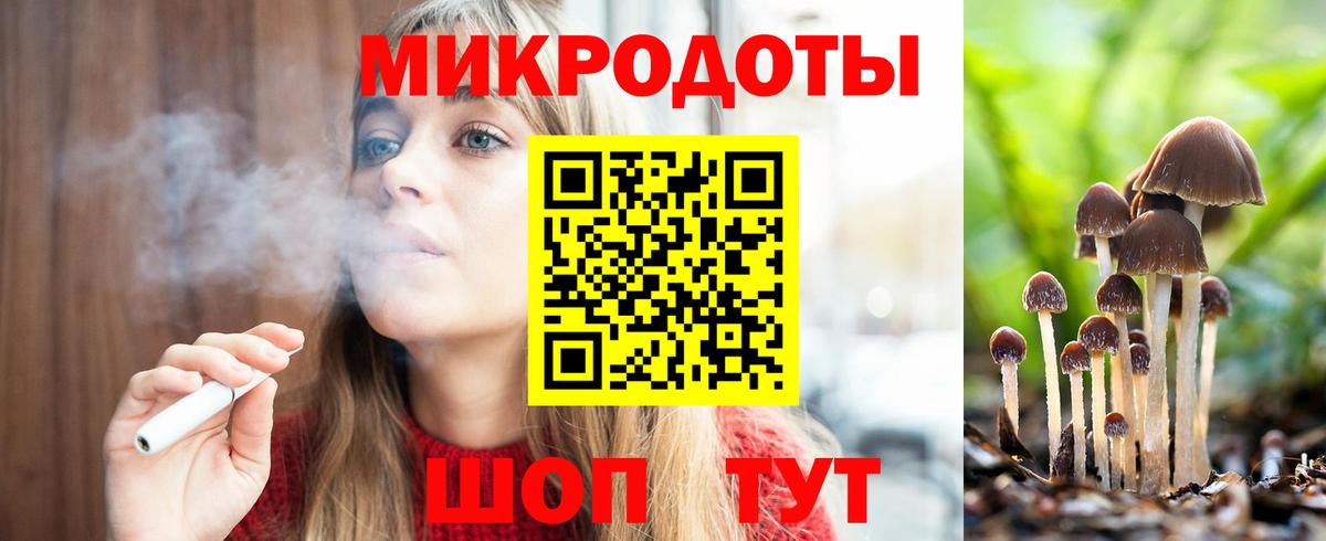хочу   Вход с VPN  Карасук  Псилоцибиновые грибы Cubensis 
